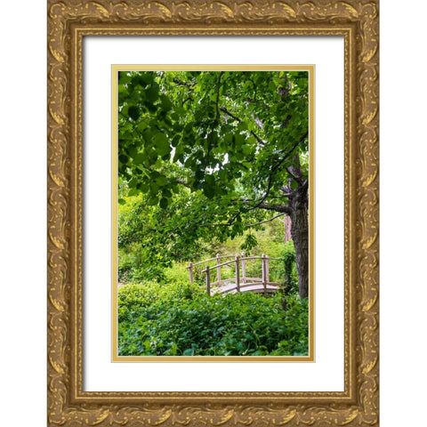 A wooden bridge crossing a small creek alongside a dirt path in a very green-lush forest setting Gold Ornate Wood Framed Art Print with Double Matting by Haddad, Sheila