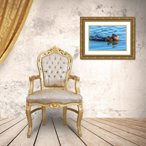A juvenile and mother sea otter float together serenely in Moss Landing Harbor-California Gold Ornate Wood Framed Art Print with Double Matting by Haddad, Sheila