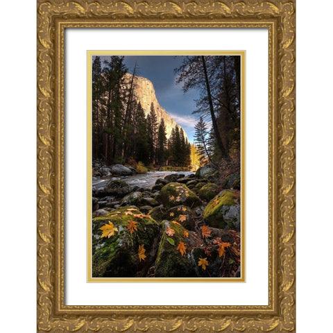 Autumn along Merced River in Yosemite National Park-California Gold Ornate Wood Framed Art Print with Double Matting by SMO