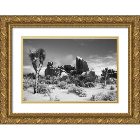 Winter storm-Joshua Tree National Park-California Gold Ornate Wood Framed Art Print with Double Matting by Muench, Zandria