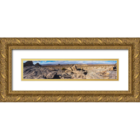 Johnson Valley-California Gold Ornate Wood Framed Art Print with Double Matting by Muench, Zandria