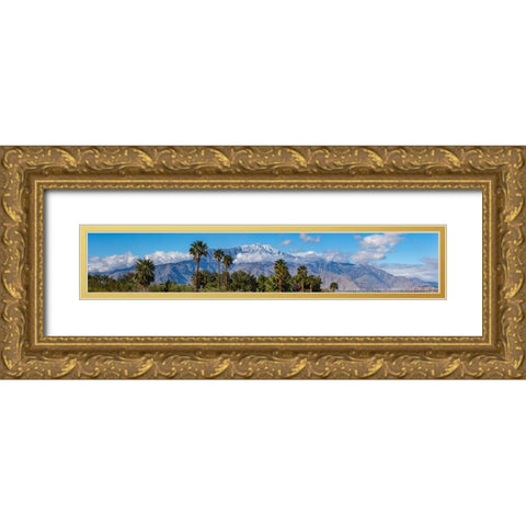 San Jacinto Mountain from Desert Hot Springs- California Gold Ornate Wood Framed Art Print with Double Matting by Muench, Zandria