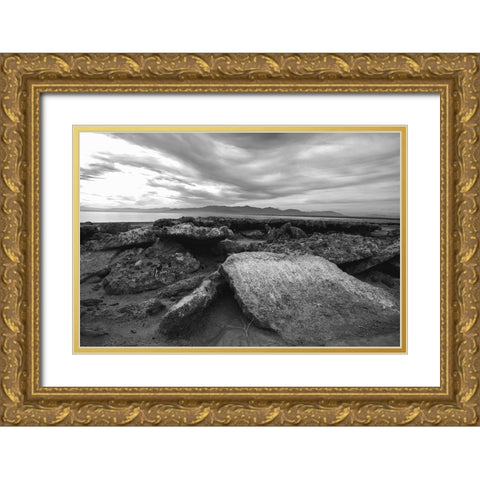 Salton Sea- Imperial Valley- California Gold Ornate Wood Framed Art Print with Double Matting by Muench, Zandria