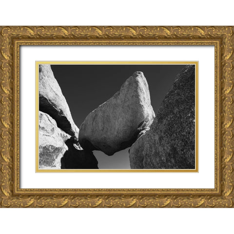 Joshua Tree National Park- California Gold Ornate Wood Framed Art Print with Double Matting by Muench, Zandria