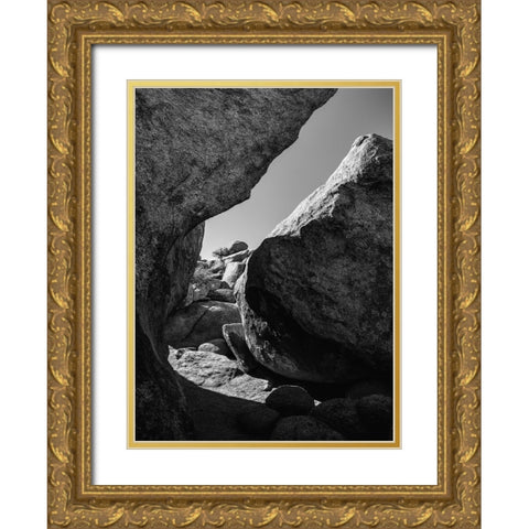 Granite Tree National Park- California Gold Ornate Wood Framed Art Print with Double Matting by Muench, Zandria