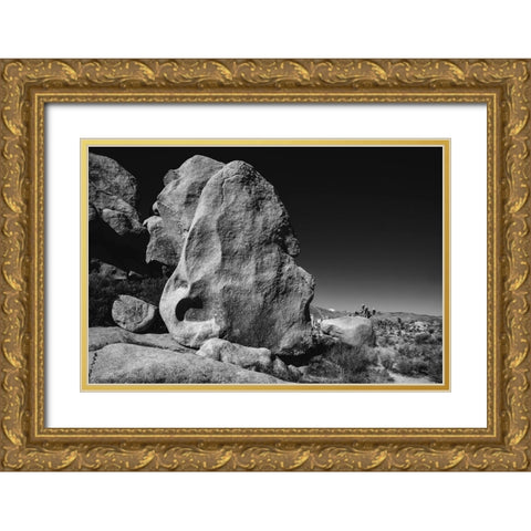 Joshua Tree National Park- California Gold Ornate Wood Framed Art Print with Double Matting by Muench, Zandria