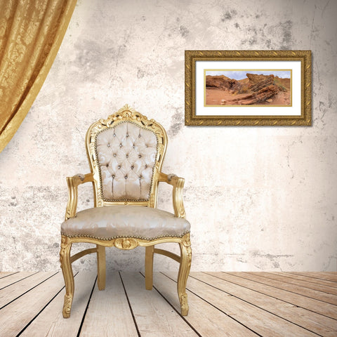 Orocopia Mountains- California Gold Ornate Wood Framed Art Print with Double Matting by Muench, Zandria