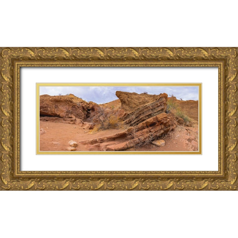Orocopia Mountains- California Gold Ornate Wood Framed Art Print with Double Matting by Muench, Zandria