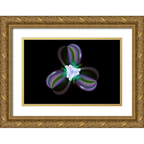 Columbine Flower-Colorado Gold Ornate Wood Framed Art Print with Double Matting by Jones, Adam