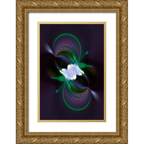 Columbine flower-Colorado Gold Ornate Wood Framed Art Print with Double Matting by Jones, Adam