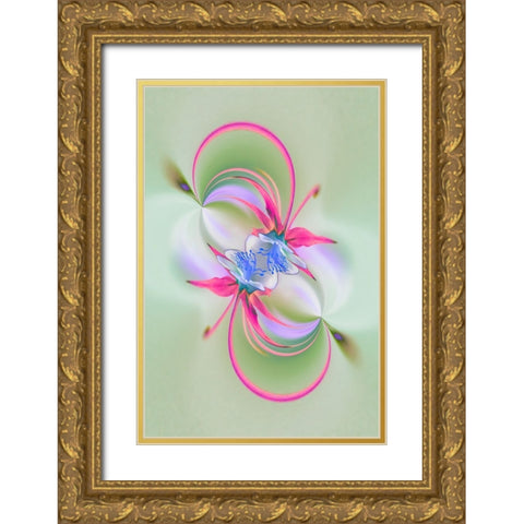 Columbine flower-Colorado Gold Ornate Wood Framed Art Print with Double Matting by Jones, Adam