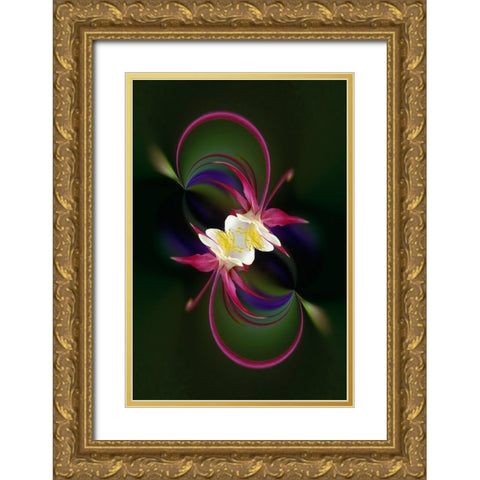 Columbine flower-Colorado Gold Ornate Wood Framed Art Print with Double Matting by Jones, Adam