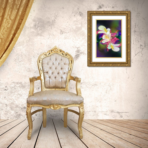Columbine flower-Colorado Gold Ornate Wood Framed Art Print with Double Matting by Jones, Adam