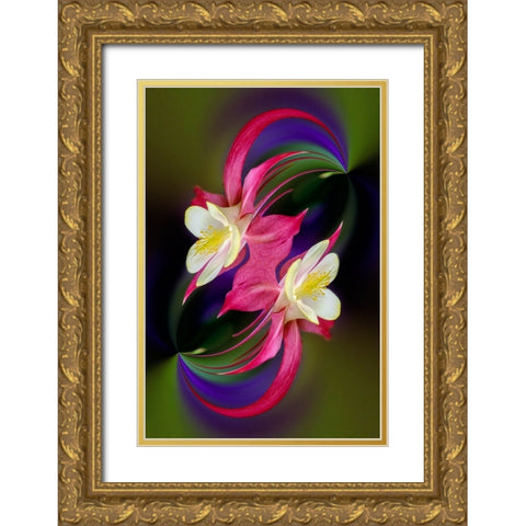 Columbine flower-Colorado Gold Ornate Wood Framed Art Print with Double Matting by Jones, Adam