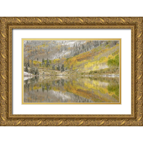 CO, Maroon Lake, Fresh snow and aspen trees Gold Ornate Wood Framed Art Print with Double Matting by Grall, Don