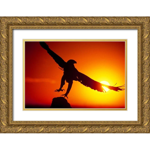 CO, A falconers golden eagle takes flight Gold Ornate Wood Framed Art Print with Double Matting by Welling, Dave