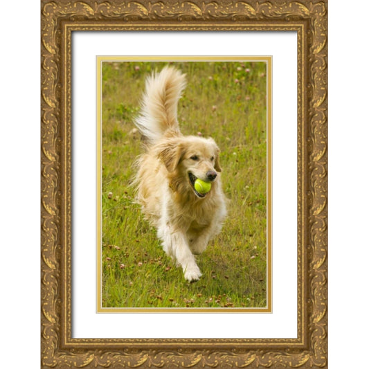 Perspective Image