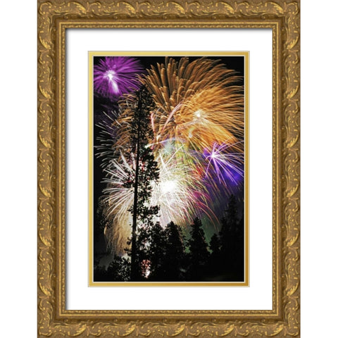 CO, Frisco Spectacular July 4th fireworks Gold Ornate Wood Framed Art Print with Double Matting by Lord, Fred