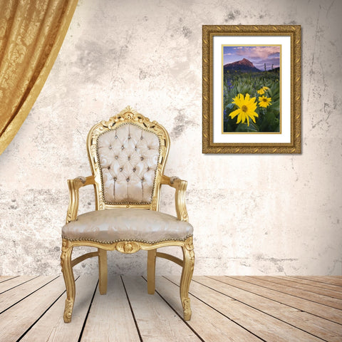 CO, Crested Butte Flowers by Mt Crested Butte Gold Ornate Wood Framed Art Print with Double Matting by Rotenberg, Nancy