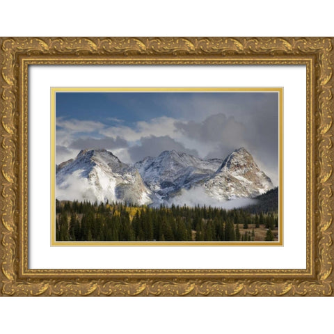 CO, Uncompahgre NF Grenadier Range in autumn Gold Ornate Wood Framed Art Print with Double Matting by Grall, Don