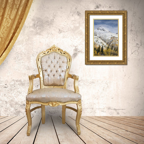 CO, Uncompahgre NF Mountain and aspens in autumn Gold Ornate Wood Framed Art Print with Double Matting by Grall, Don