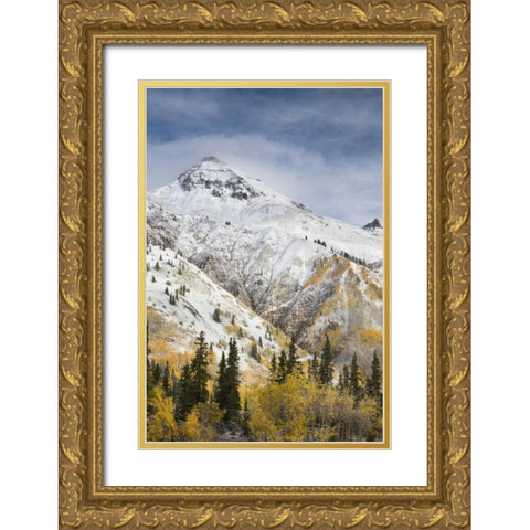 CO, Uncompahgre NF Mountain and aspens in autumn Gold Ornate Wood Framed Art Print with Double Matting by Grall, Don