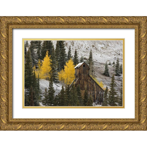 CO, Uncompahgre NF, An abandoned mine in fall Gold Ornate Wood Framed Art Print with Double Matting by Grall, Don