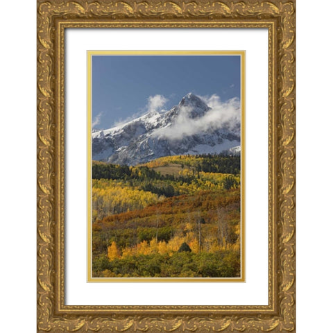 CO, San Juan Mts, Uncompahgre NF Autumn forest Gold Ornate Wood Framed Art Print with Double Matting by Grall, Don