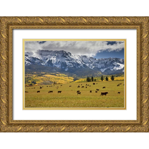 CO, Uncompahgre NF, Hastings Mesa Cattle grazing Gold Ornate Wood Framed Art Print with Double Matting by Grall, Don