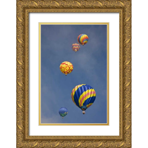 CO, Colorado Springs Hot air balloons in morning Gold Ornate Wood Framed Art Print with Double Matting by Grall, Don