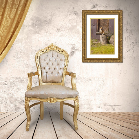 CO, Breckenridge Young fox sitting on log  Gold Ornate Wood Framed Art Print with Double Matting by Lord, Fred