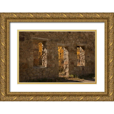CO, Central City Aspen inside abandoned building Gold Ornate Wood Framed Art Print with Double Matting by Grall, Don