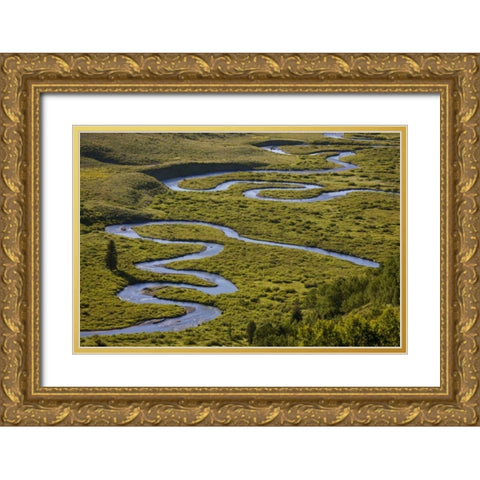 CO, Gunnison NF Uper East Rivers meandering Gold Ornate Wood Framed Art Print with Double Matting by Grall, Don