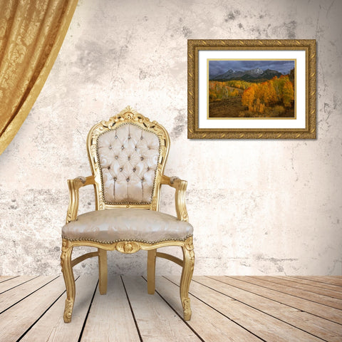 CO, Sneffels Range Dark clouds foretell a storm Gold Ornate Wood Framed Art Print with Double Matting by Grall, Don
