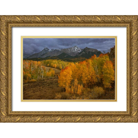 CO, Sneffels Range Dark clouds foretell a storm Gold Ornate Wood Framed Art Print with Double Matting by Grall, Don