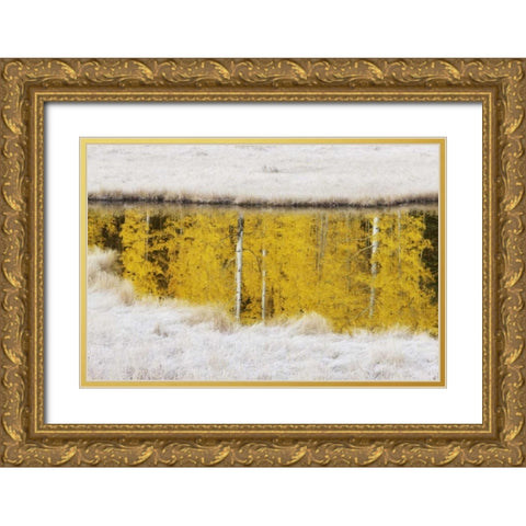 CO, San Juan Mts Autumn sunrise reflection Gold Ornate Wood Framed Art Print with Double Matting by Grall, Don