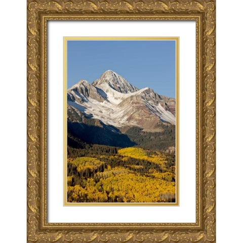Colorado, San Juan Mts Wilson Peak in autumn Gold Ornate Wood Framed Art Print with Double Matting by Grall, Don