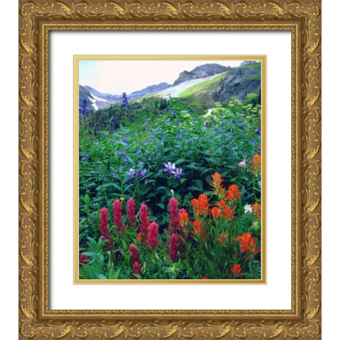 CO, flowers in Yankee Boy Basin in the Rocky Mts Gold Ornate Wood Framed Art Print with Double Matting by Talbot Frank, Christopher