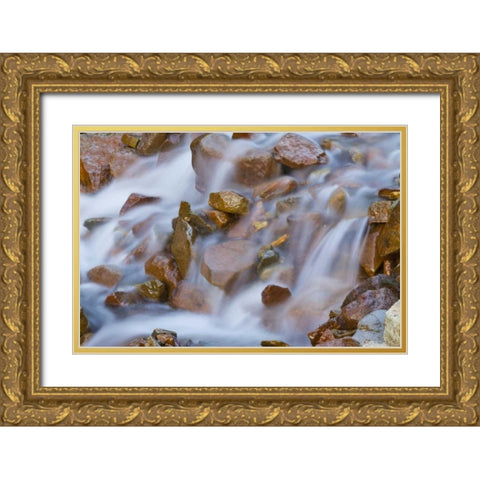CO, Ophir Pass Waterfall cascades over rocks Gold Ornate Wood Framed Art Print with Double Matting by Illg, Cathy and Gordon