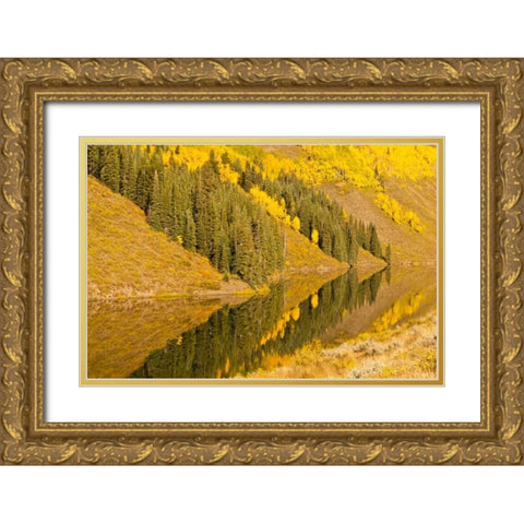 CO, Rocky Mts Autumn reflection on Long Lake Gold Ornate Wood Framed Art Print with Double Matting by Illg, Cathy and Gordon
