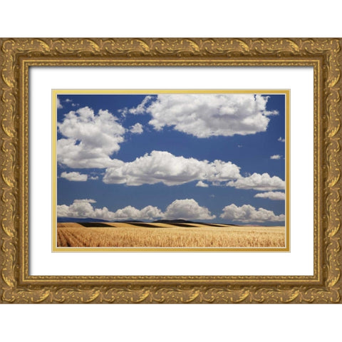 CO, Wheat fields in western part of state Gold Ornate Wood Framed Art Print with Double Matting by Flaherty, Dennis