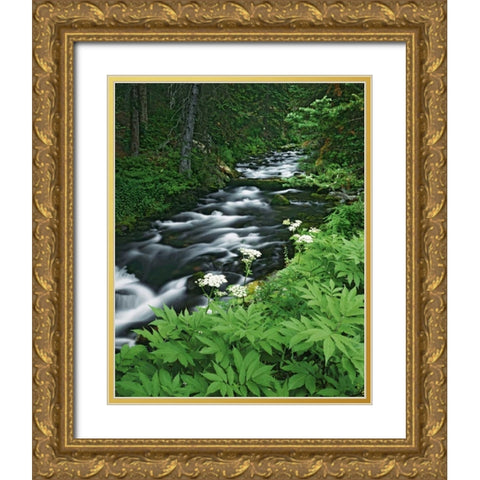 Colorado, White River NF Maroon Creek Gold Ornate Wood Framed Art Print with Double Matting by Flaherty, Dennis