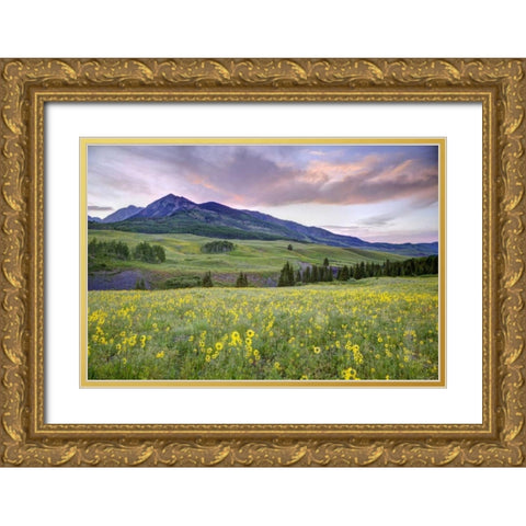 CO, Crested Butte Flowers and mountain Gold Ornate Wood Framed Art Print with Double Matting by Flaherty, Dennis