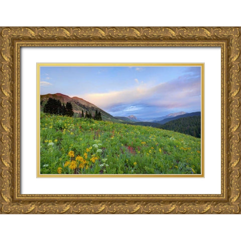 CO, Crested Butte Flowers and mountains Gold Ornate Wood Framed Art Print with Double Matting by Flaherty, Dennis