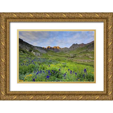 CO, San Juan Mts, Sunrise on flowers Gold Ornate Wood Framed Art Print with Double Matting by Flaherty, Dennis