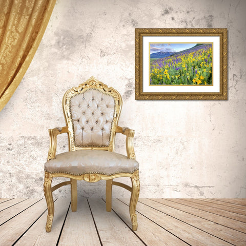 CO, Crested Butte Flowers on hillside Gold Ornate Wood Framed Art Print with Double Matting by Flaherty, Dennis
