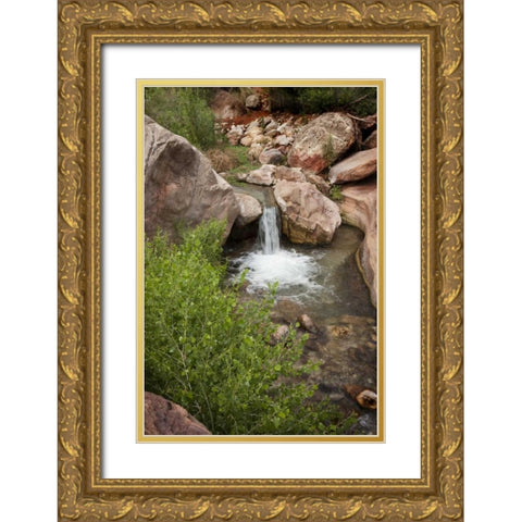 AZ, Grand Canyon, Deer Creek waterfall and pool Gold Ornate Wood Framed Art Print with Double Matting by Grall, Don
