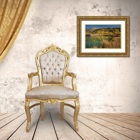 USA, Colorado Landscape in San Juan Mountains Gold Ornate Wood Framed Art Print with Double Matting by Illg, Cathy and Gordon