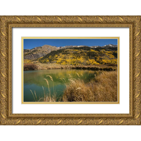 USA, Colorado Landscape in San Juan Mountains Gold Ornate Wood Framed Art Print with Double Matting by Illg, Cathy and Gordon