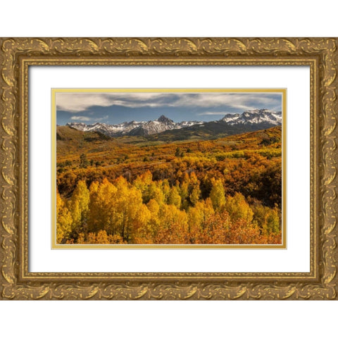 Colorado Dallas Divide in San Juan Mountains Gold Ornate Wood Framed Art Print with Double Matting by Illg, Cathy and Gordon